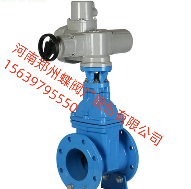 河南閥門之鄉(xiāng)，展銷會進行中